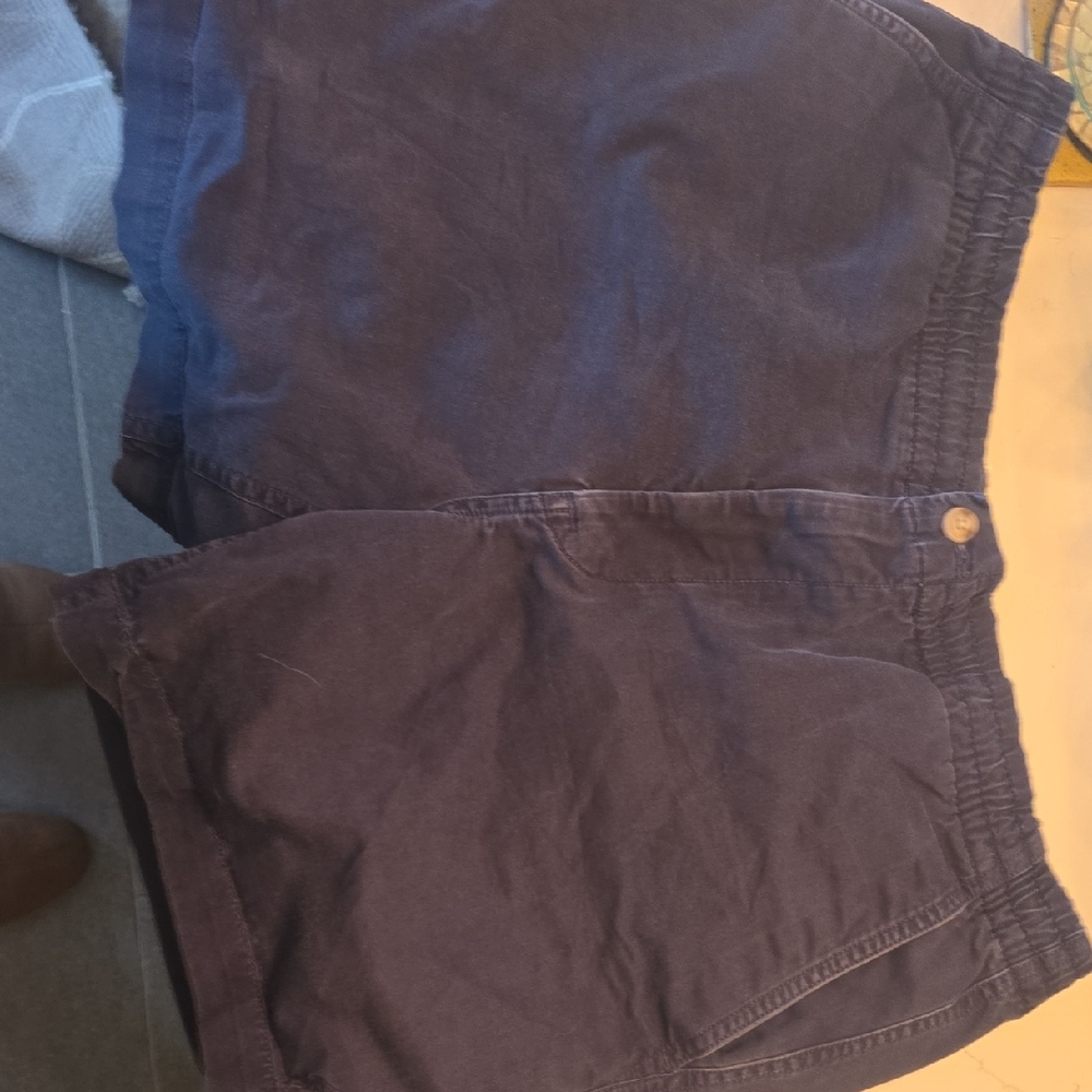 Polo Ralph Lauren Navy Men's Flat Front Shorts
